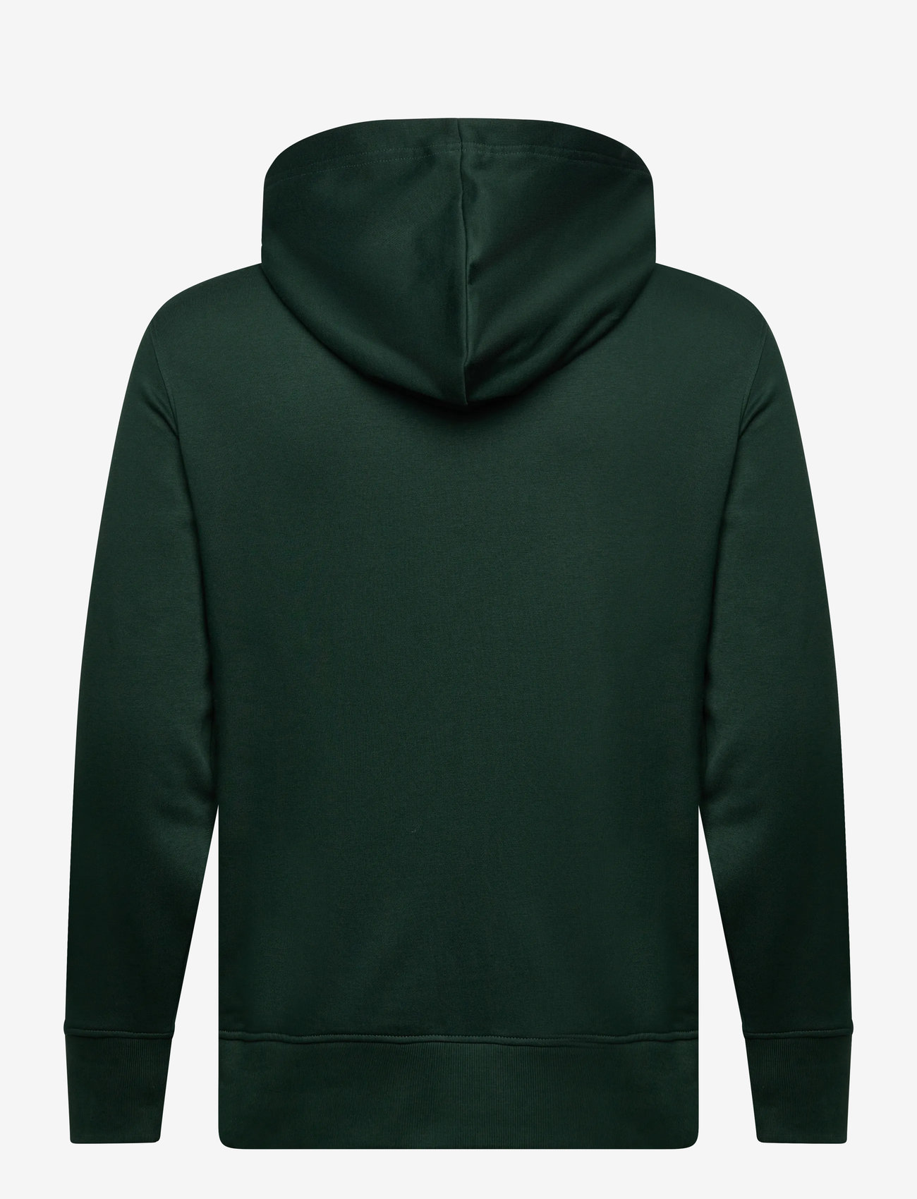 GANT - GRAPHIC FULL ZIP HOODIE - hættetrøjer - tartan green - 1