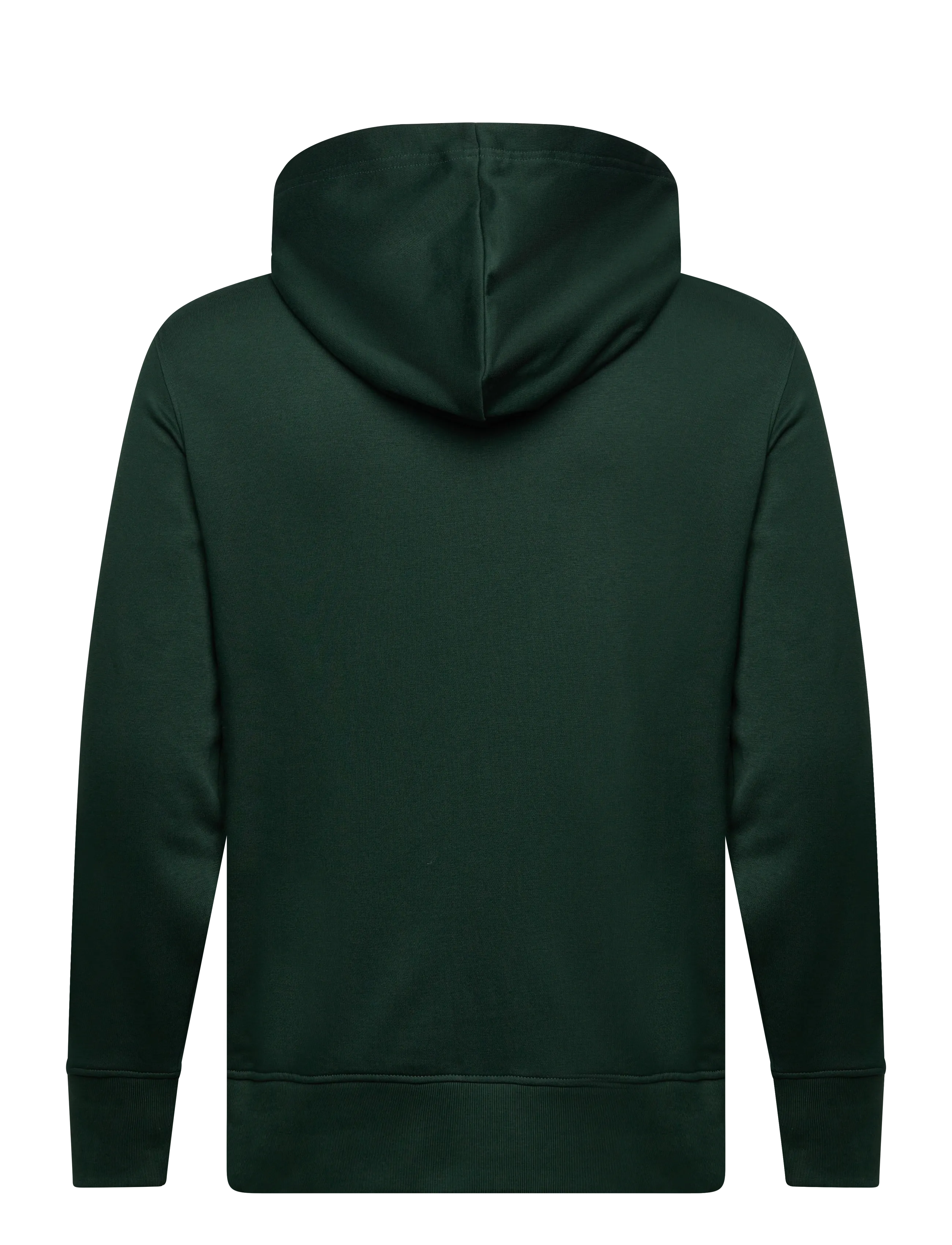Gant - GRAPHIC FULL ZIP HOODIE - hættetrøjer - tartan green - 1