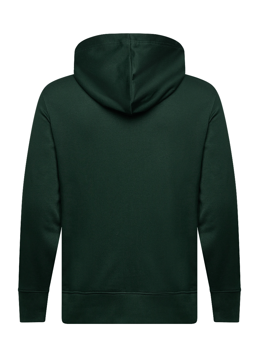 Gant - GRAPHIC FULL ZIP HOODIE - sweats à capuche - tartan green - 1