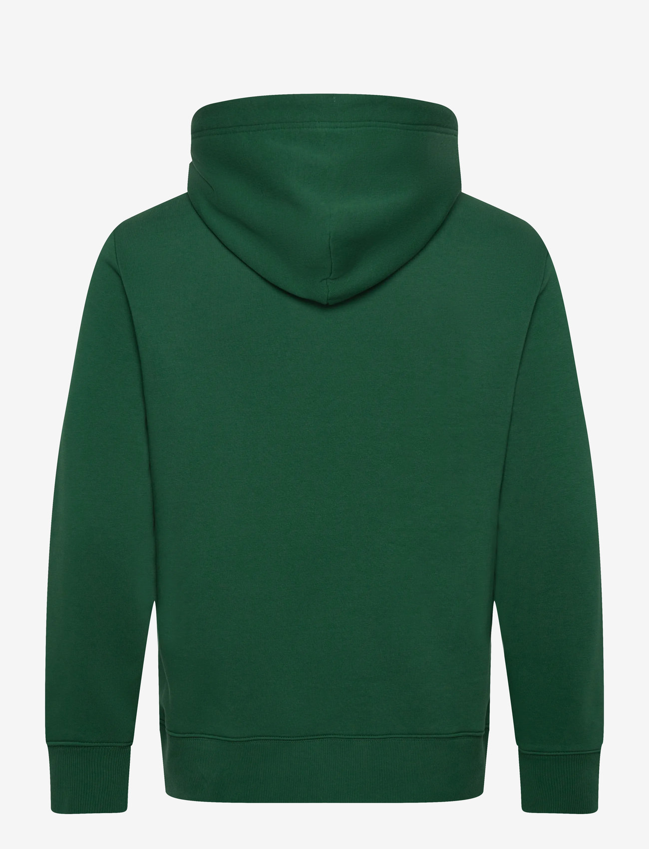 GANT - GRAPHIC SWEAT HOODIE - kapuutsiga dressipluusid - forest green - 1