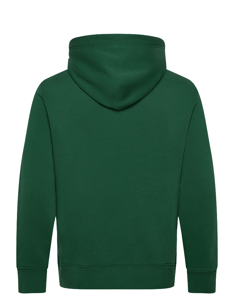 GANT - GRAPHIC SWEAT HOODIE - kapuzenpullover - forest green - 1