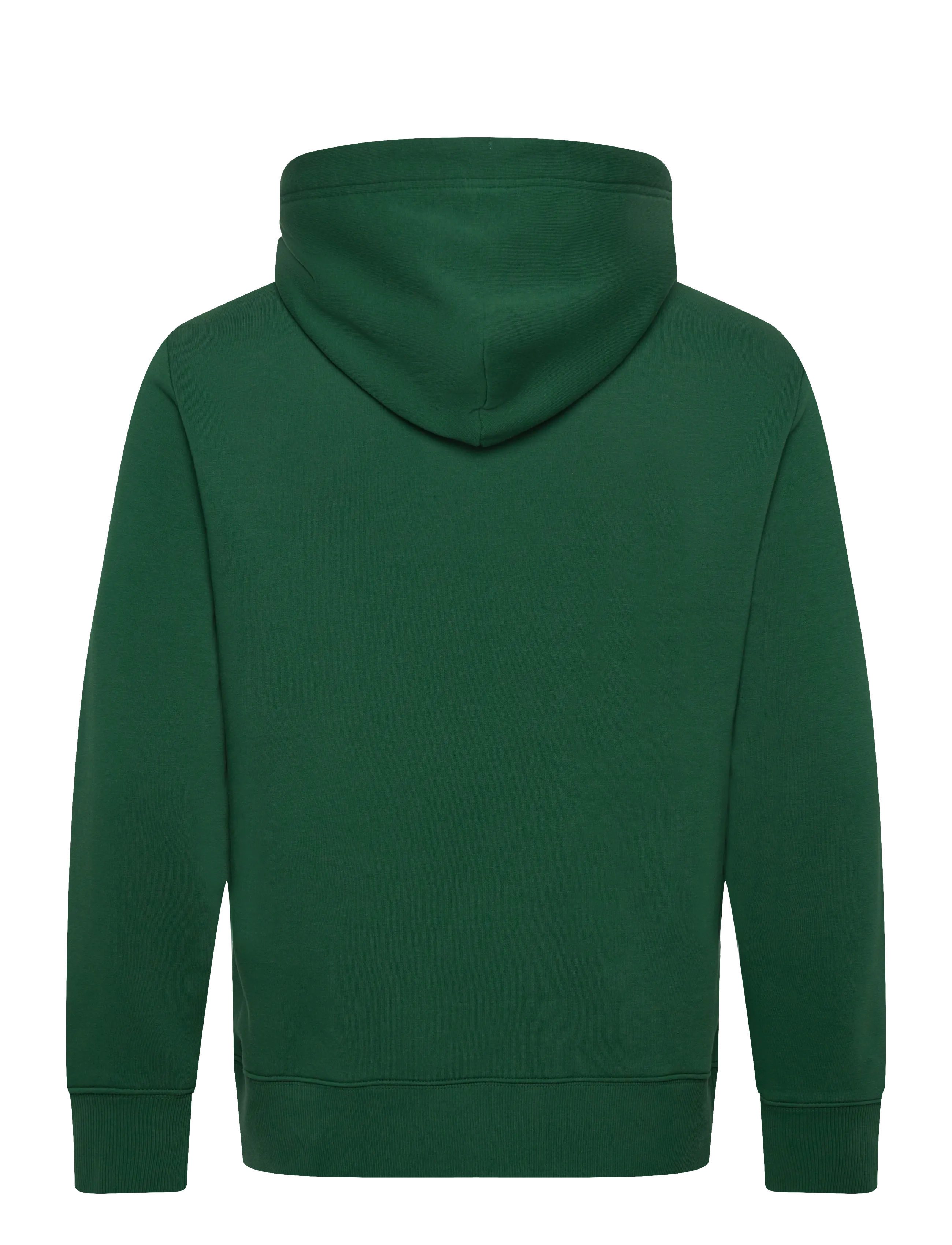 Gant - GRAPHIC SWEAT HOODIE - džemperi ar kapuci - forest green - 1