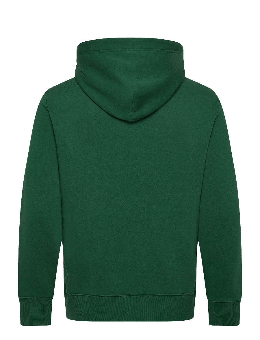 Gant - GRAPHIC SWEAT HOODIE - kapuzenpullover - forest green - 1