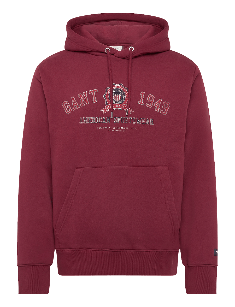 Gant - GRAPHIC HOODIE - kapuzenpullover - plumped red - 0