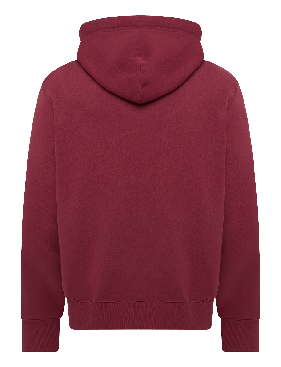Gant - GRAPHIC HOODIE - kapuzenpullover - plumped red - 1