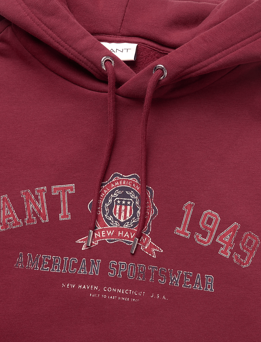 Gant - GRAPHIC HOODIE - kapuzenpullover - plumped red - 2