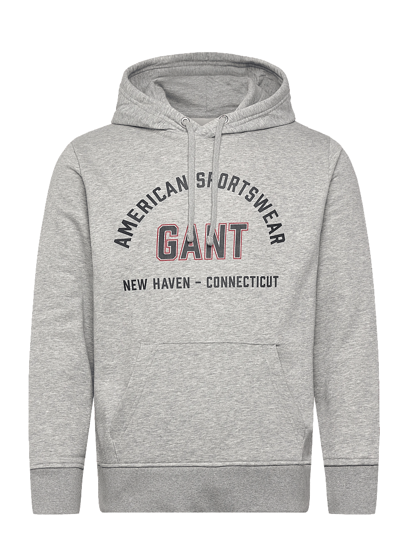 GANT - PRINTED GRAPHIC HOODIE - džemperi ar kapuci - grey melange - 0
