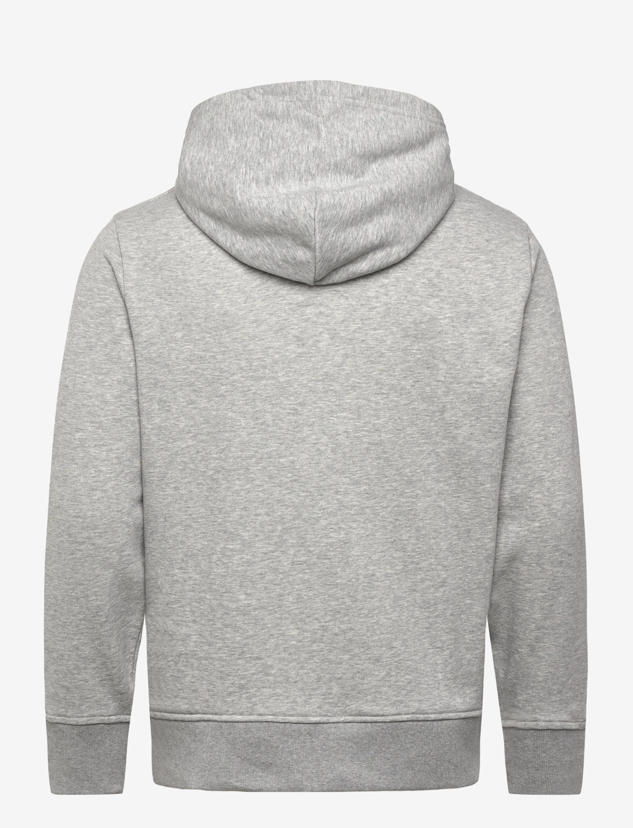GANT - PRINTED GRAPHIC HOODIE - džemperi ar kapuci - grey melange - 1