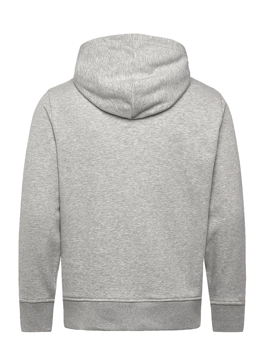 Gant - PRINTED GRAPHIC HOODIE - kapuutsiga pusad - grey melange - 1