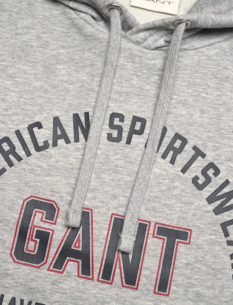 GANT - PRINTED GRAPHIC HOODIE - džemperi ar kapuci - grey melange - 2