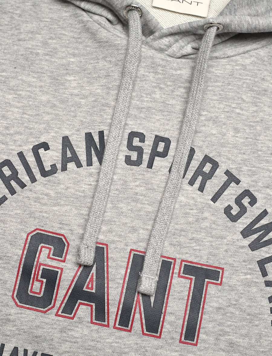 Gant - PRINTED GRAPHIC HOODIE - kapuutsiga pusad - grey melange - 2