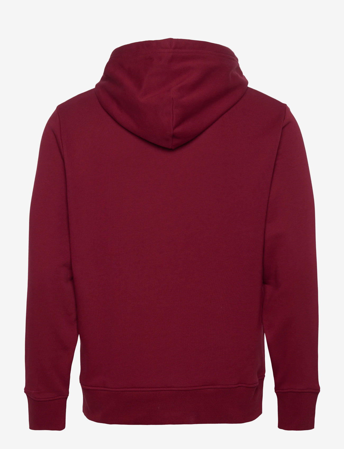 GANT - PRINTED GRAPHIC HOODIE - hoodies - plumped red - 1
