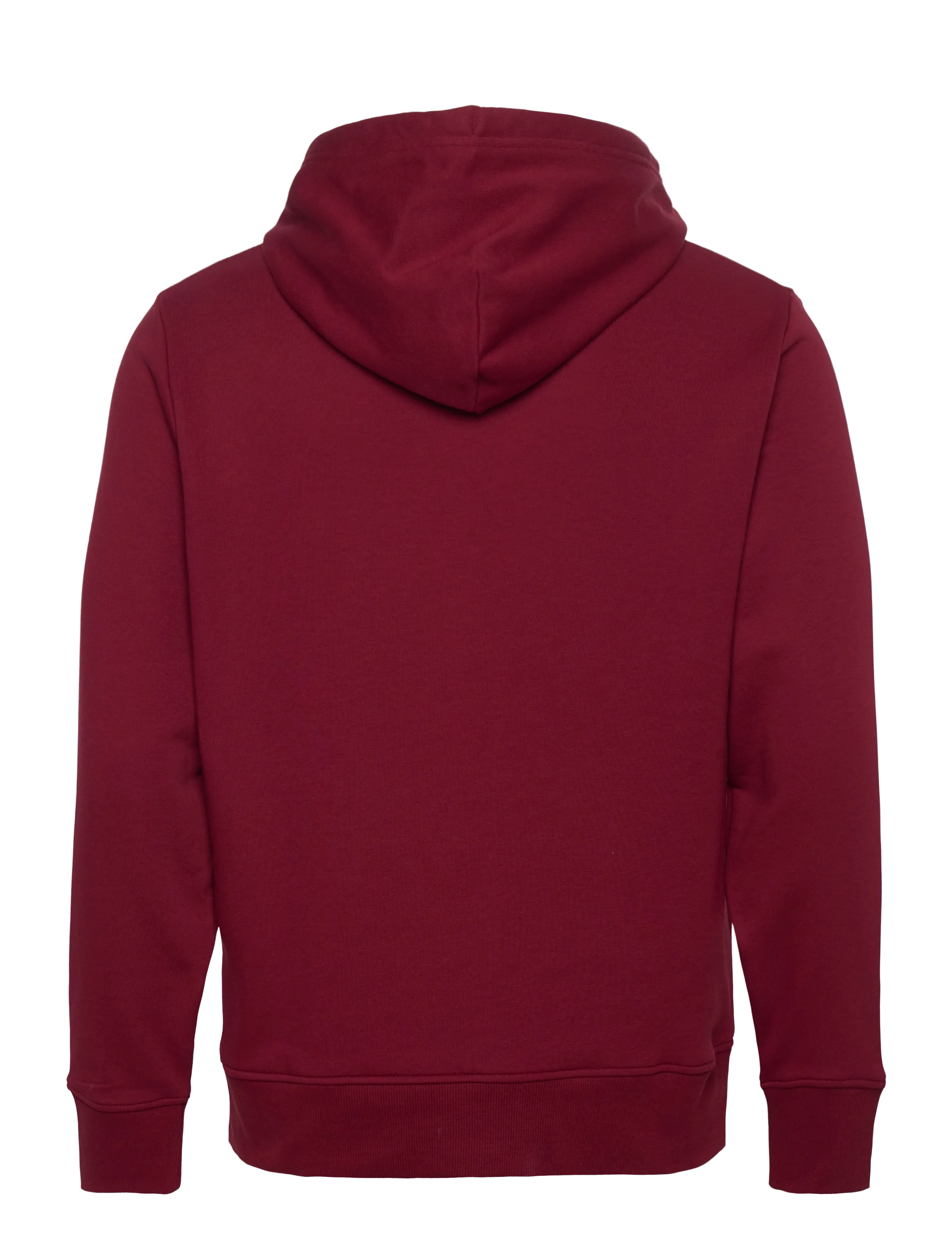 Gant - PRINTED GRAPHIC HOODIE - hættetrøjer - plumped red - 1