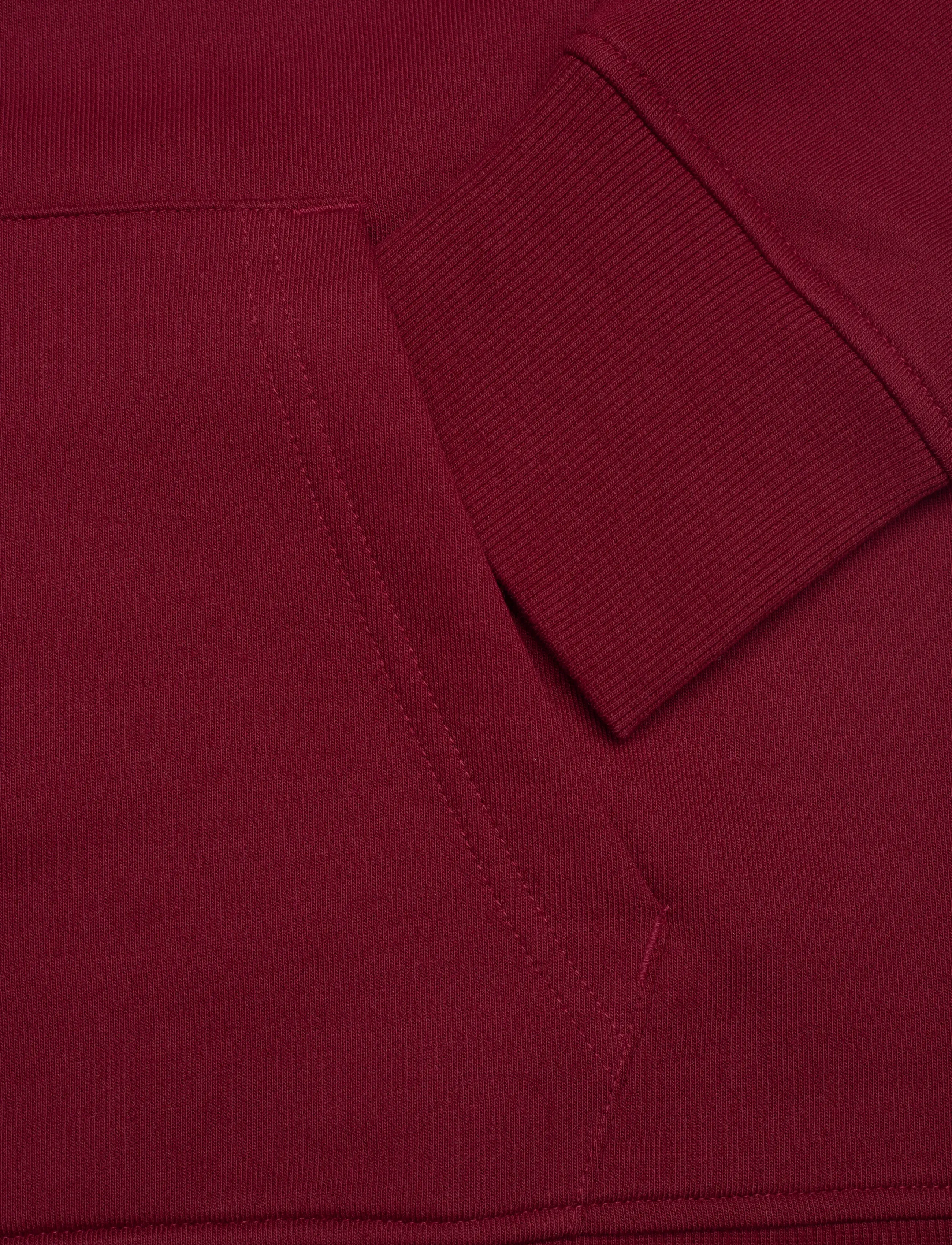 Gant - PRINTED GRAPHIC HOODIE - hættetrøjer - plumped red - 3