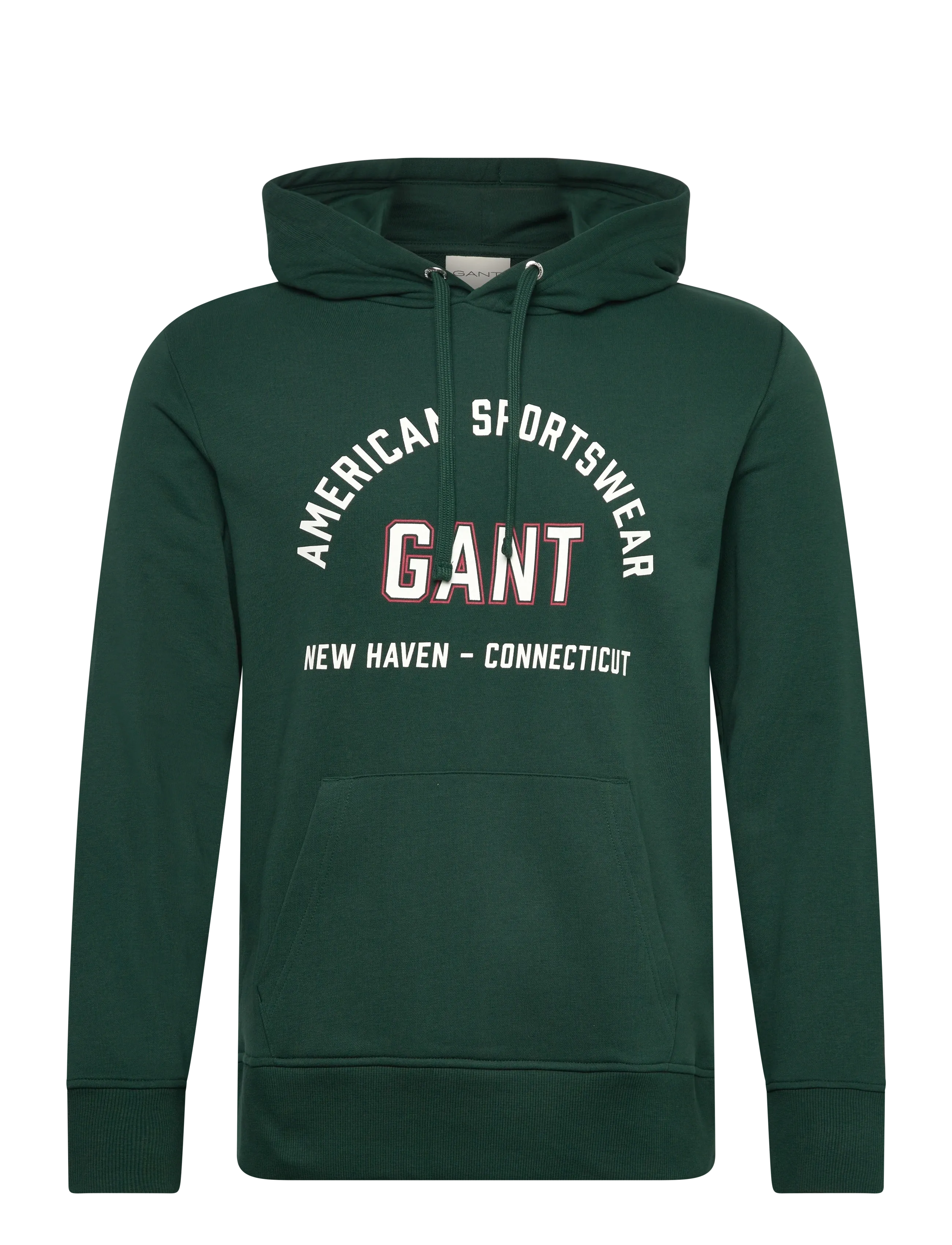 Gant PRINTED GRAPHIC HOODIE - Gant - TARTAN GREEN / green