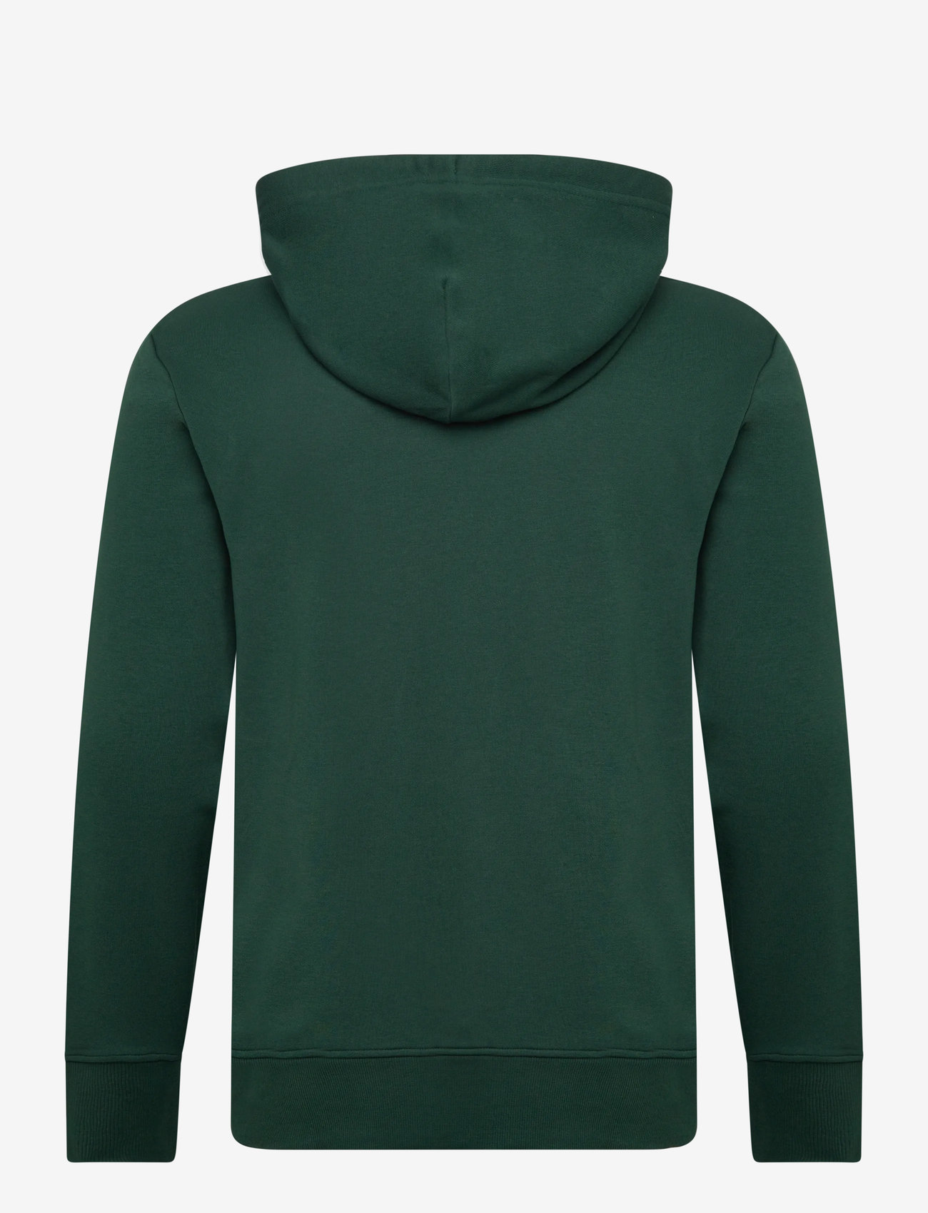 GANT - PRINTED GRAPHIC HOODIE - hættetrøjer - tartan green - 1