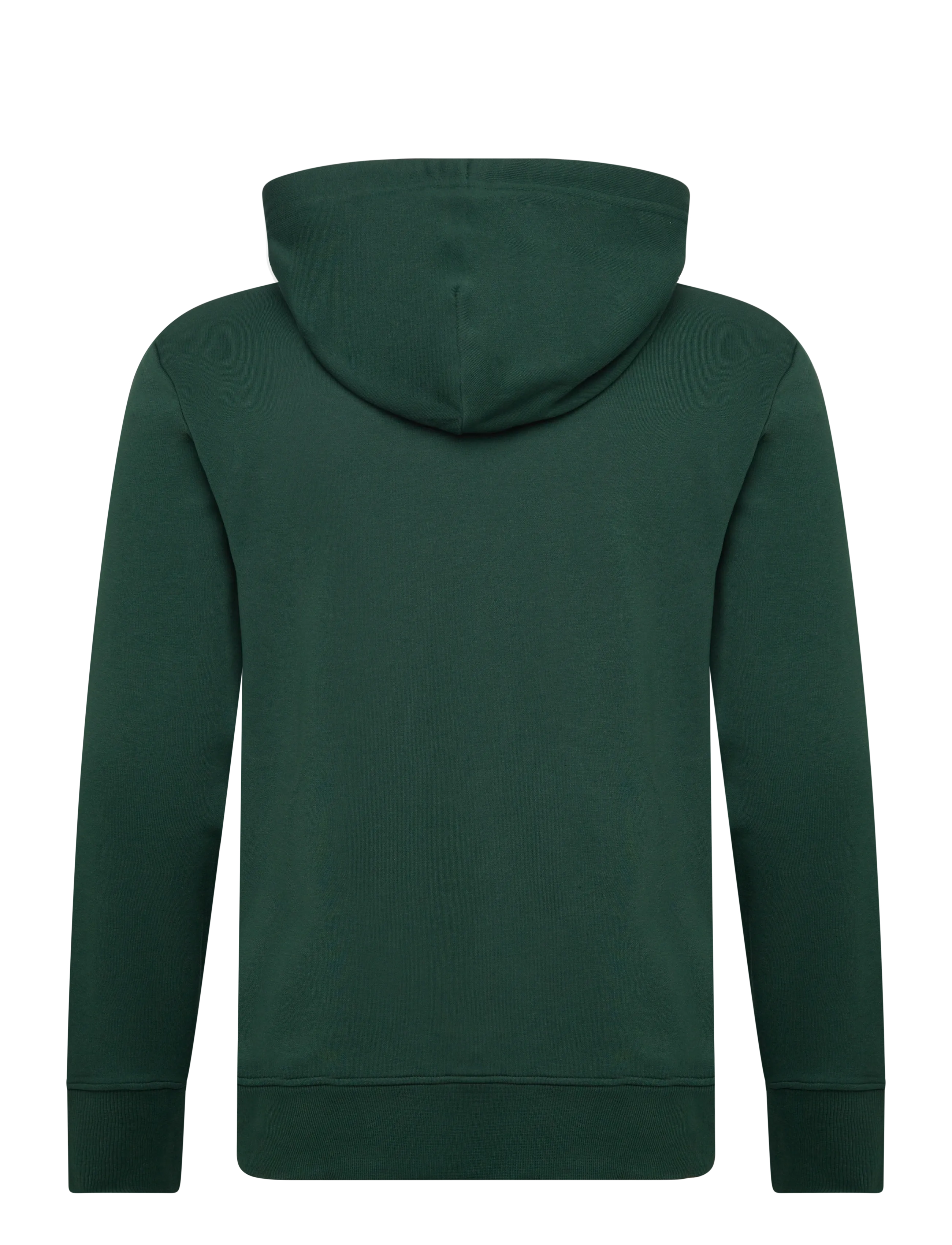 Gant - PRINTED GRAPHIC HOODIE - kapuzenpullover - tartan green - 1