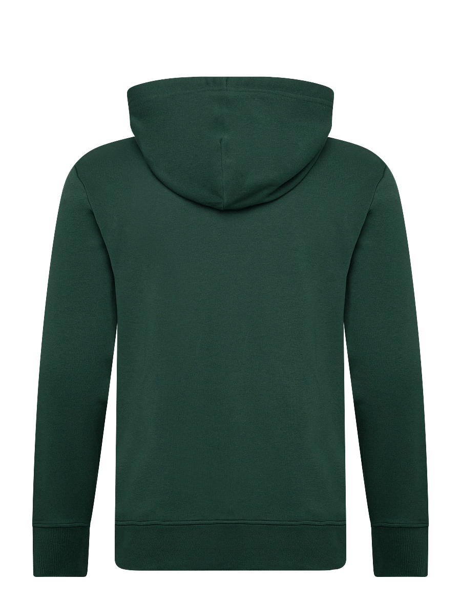 Gant - PRINTED GRAPHIC HOODIE - kapuutsiga pusad - tartan green - 1