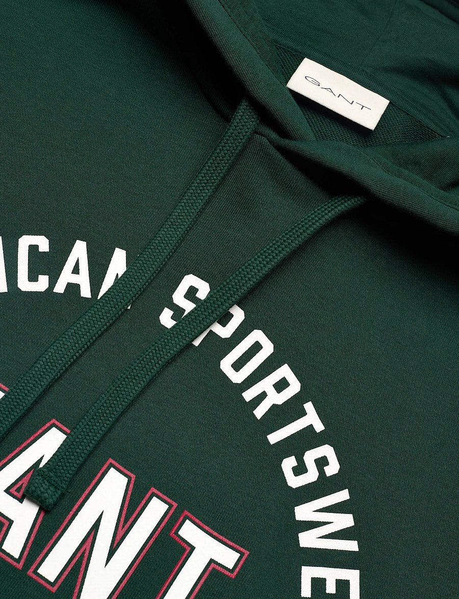 Gant - PRINTED GRAPHIC HOODIE - kapuutsiga pusad - tartan green - 2