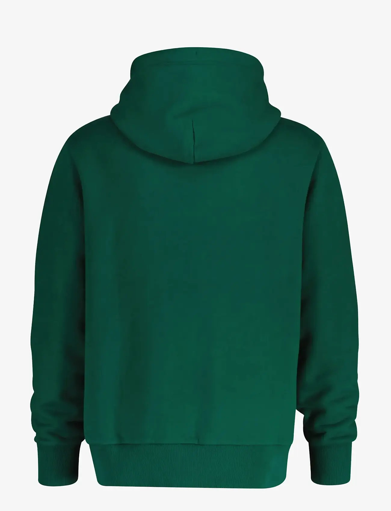 GANT - GRAPHIC HOODIE - hettegensere - deep forest green - 1