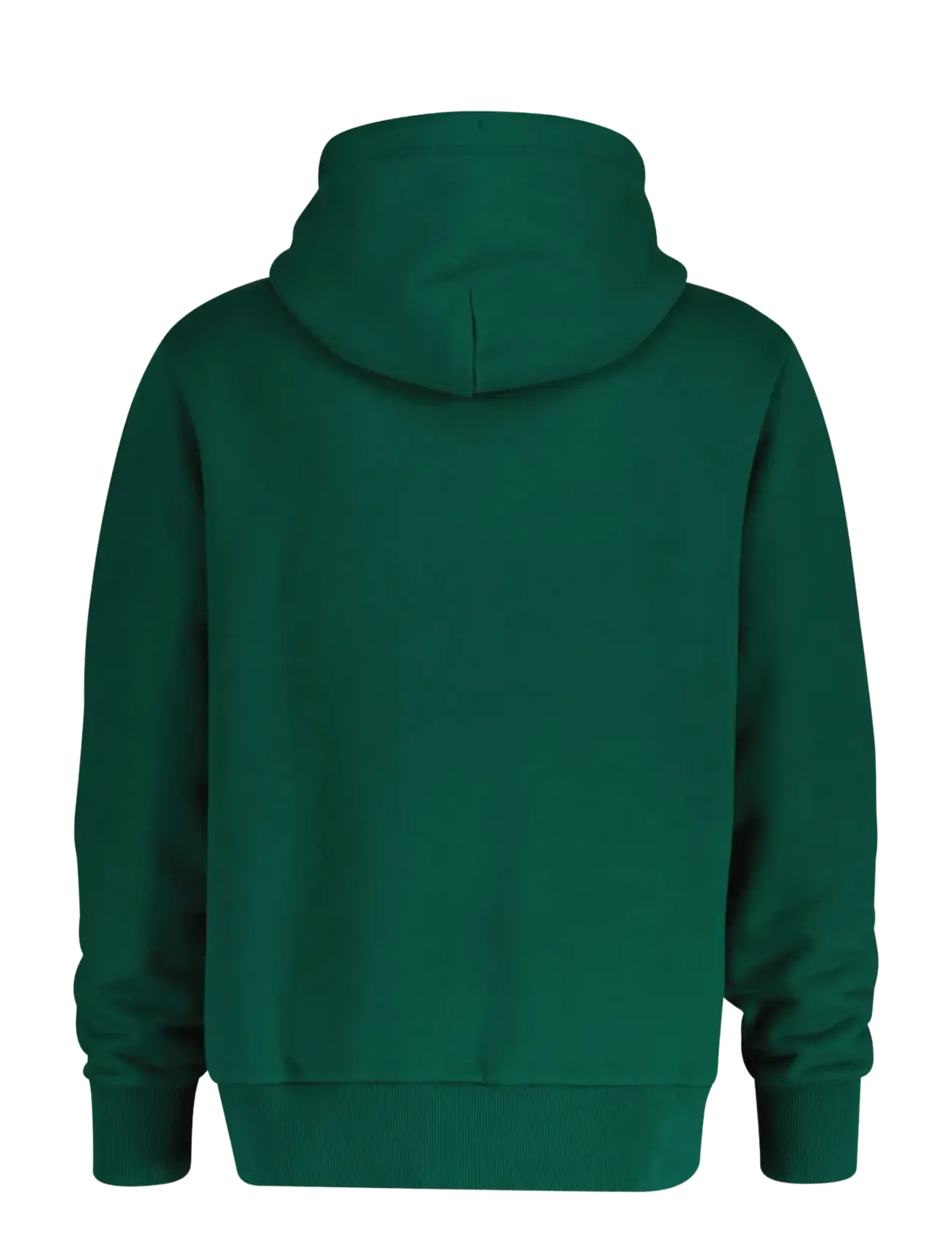 Gant - GRAPHIC HOODIE - kapuzenpullover - deep forest green - 1