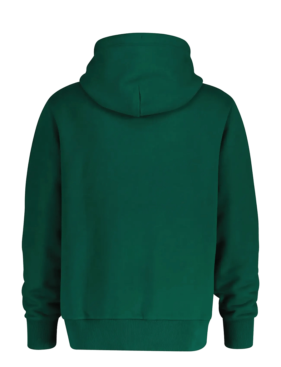 Gant - GRAPHIC HOODIE - sweats à capuche - deep forest green - 1