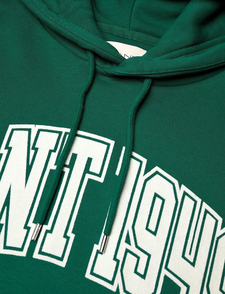 Gant - GRAPHIC HOODIE - sweats à capuche - deep forest green - 2