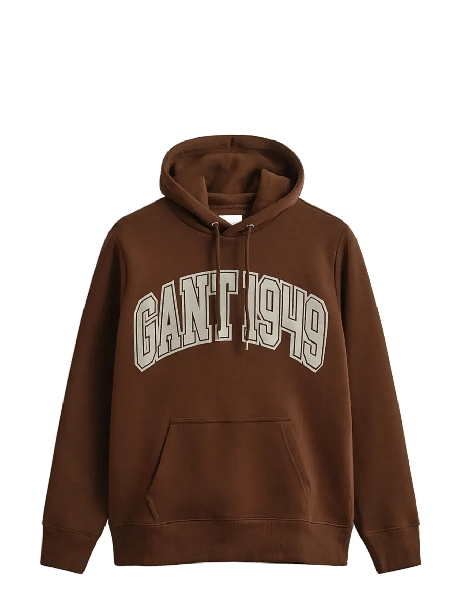 Gant - GRAPHIC HOODIE - sweats à capuche - mahogany brown - 0