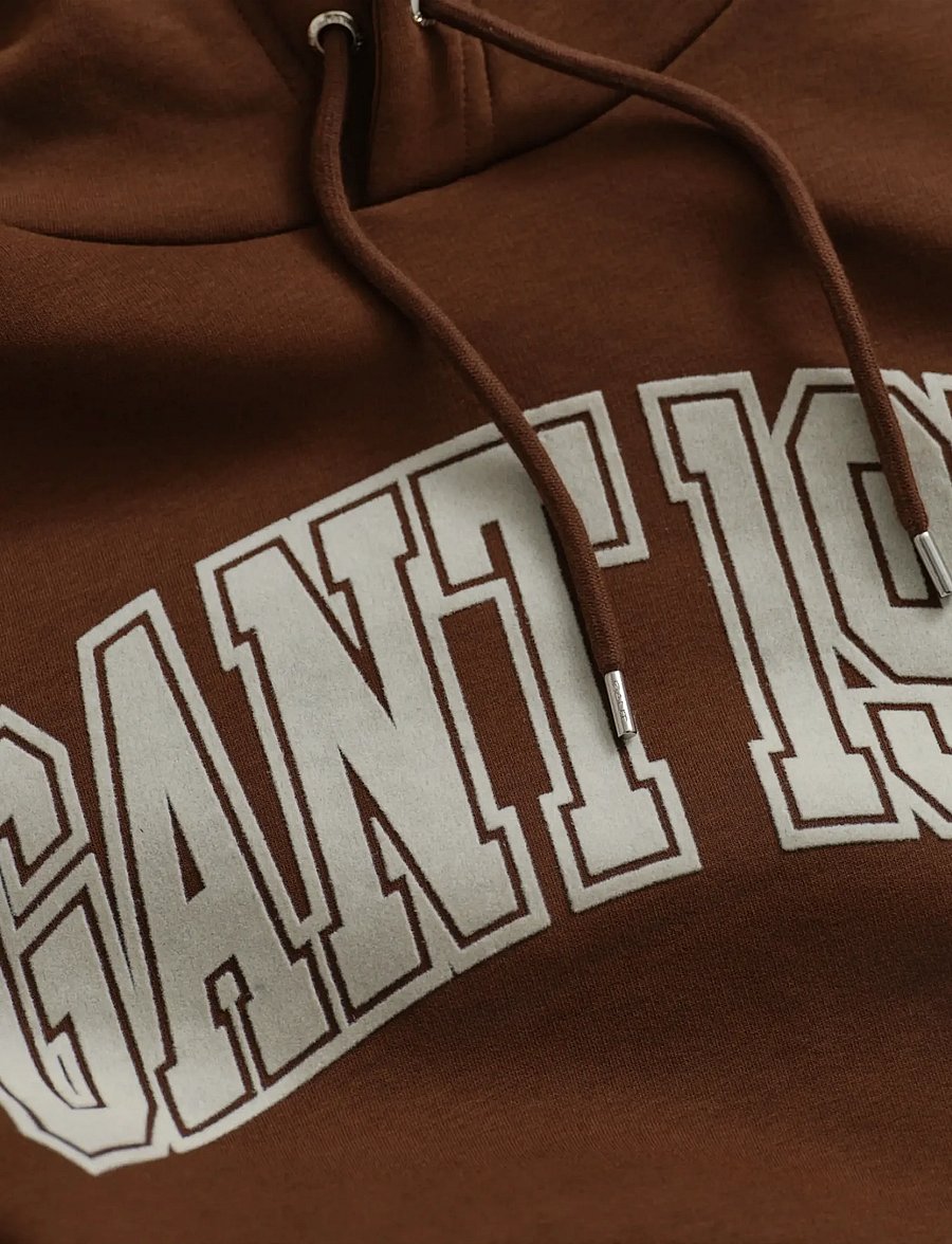 Gant - GRAPHIC HOODIE - sweats à capuche - mahogany brown - 1