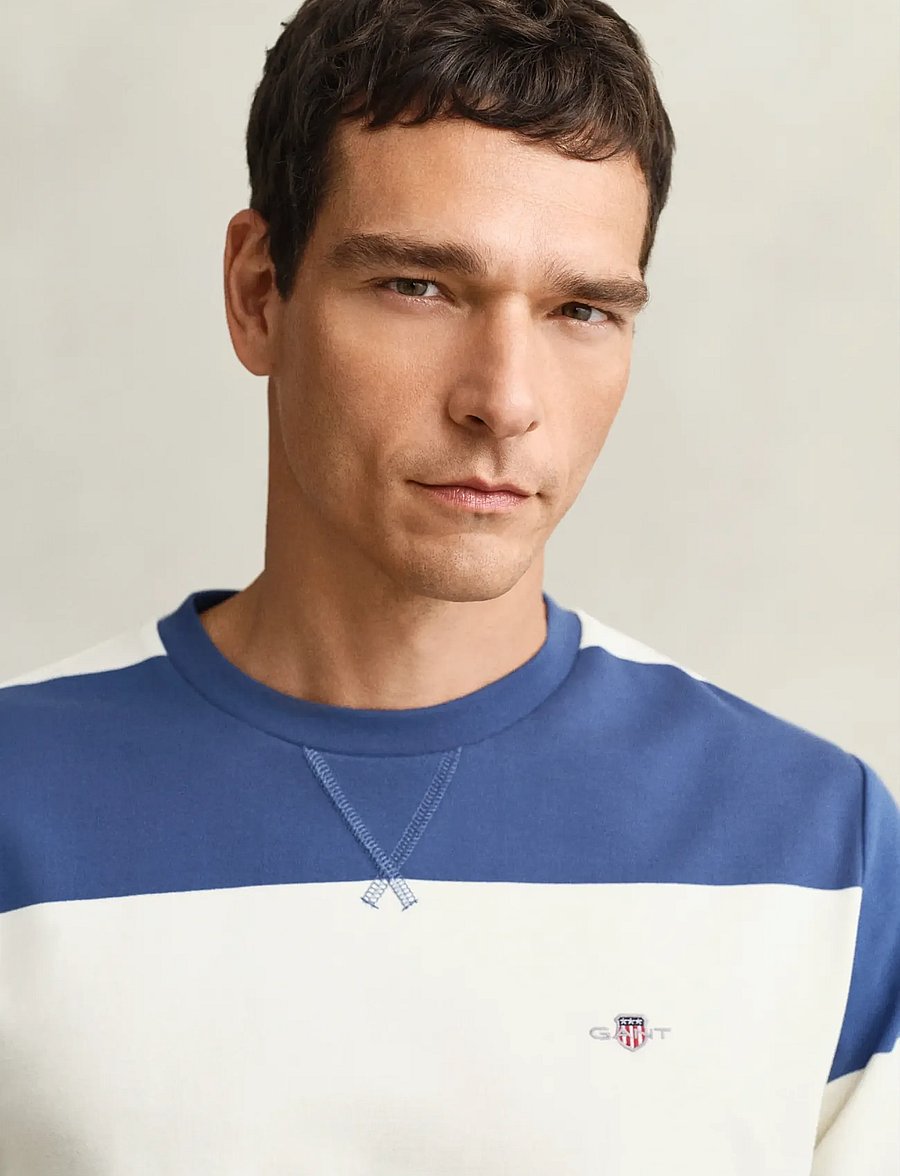 Gant - STRIPED C-NECK - dressipluusid - vintage blue - 4
