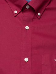 GANT - REG BROADCLOTH BD - oxford skjorter - plumped red - 2
