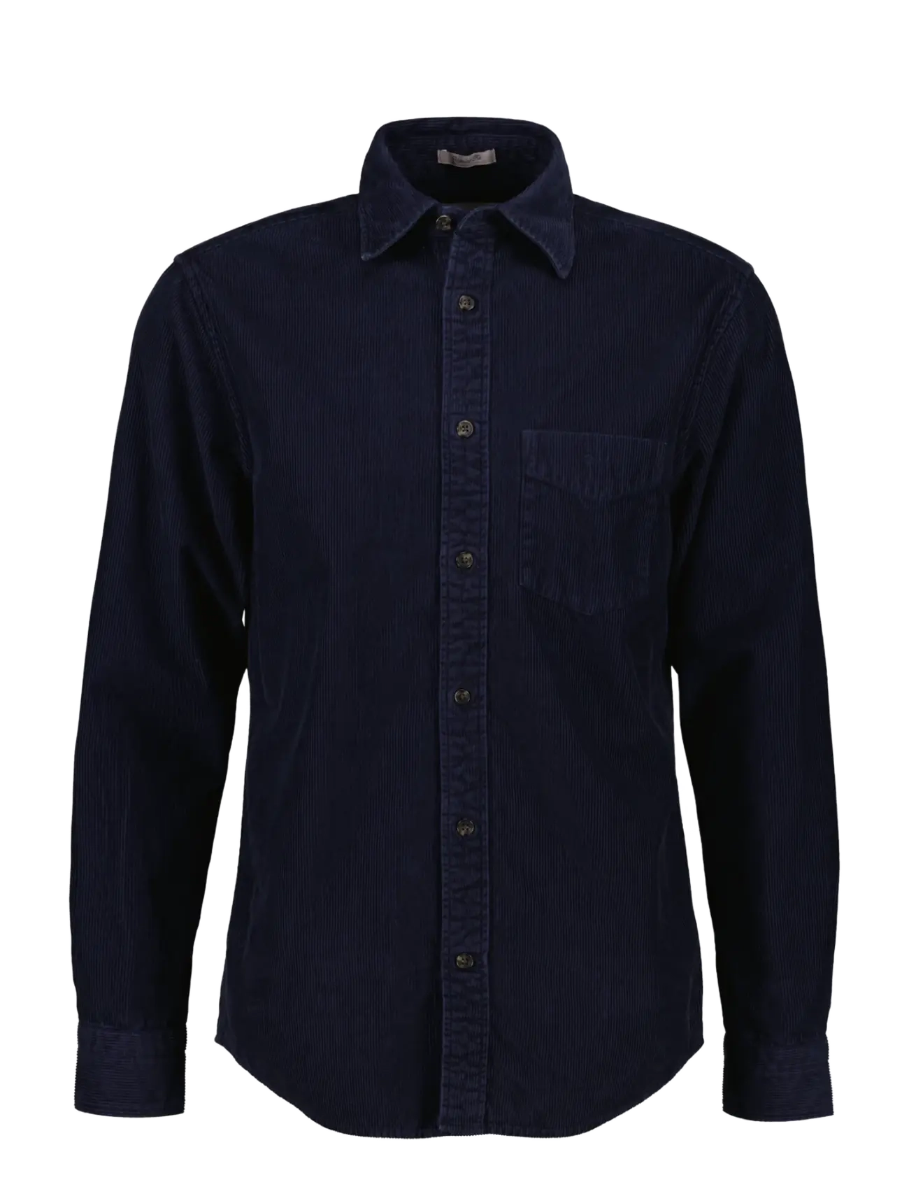 EVENING BLUE