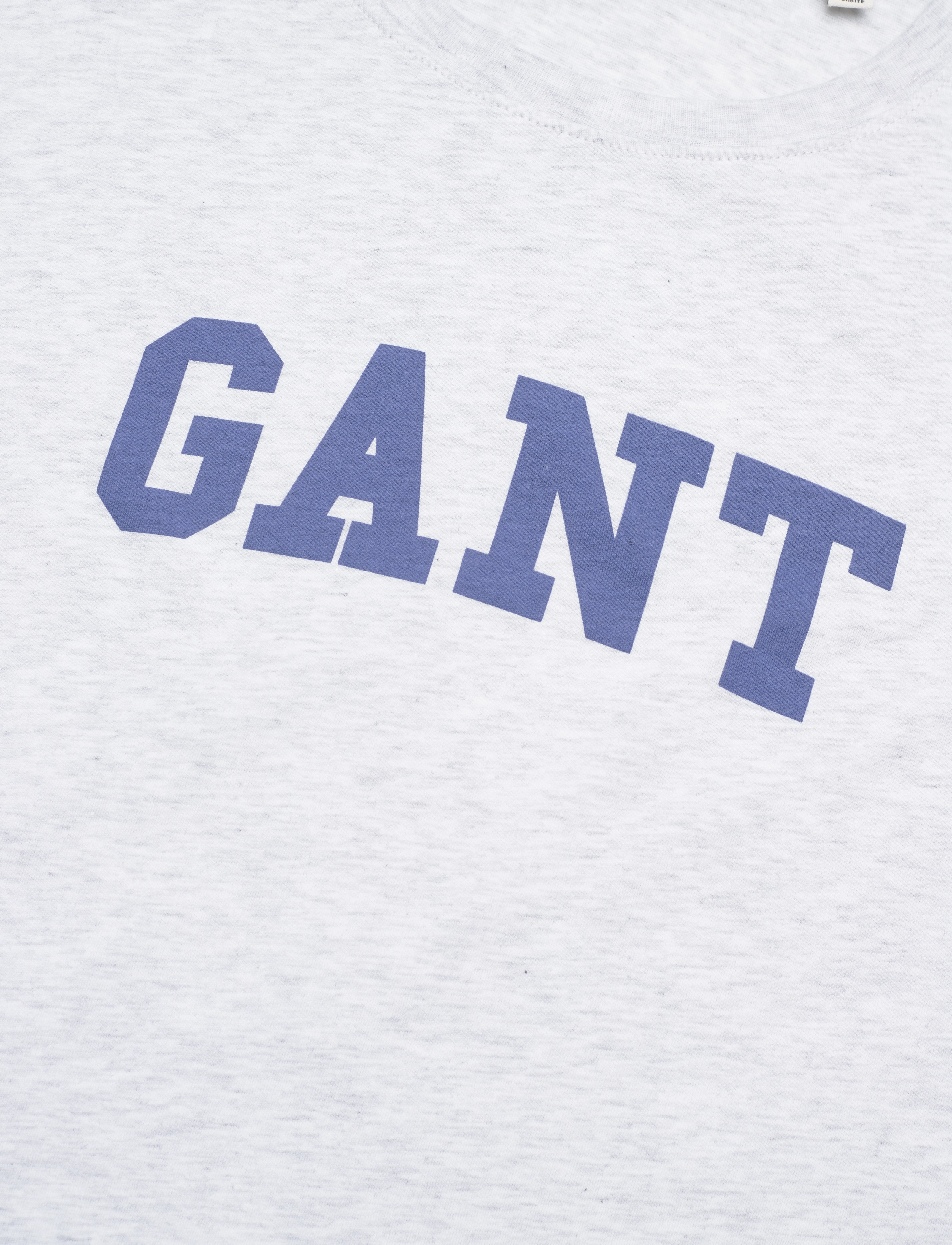 Gant - GRAPHIC SS T-SHIRT - t-shirts - pale grey melange - 2
