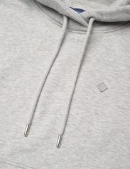 GANT - ICON G ESSENTIAL HOODIE - sweatshirts en hoodies - light grey melange - 2