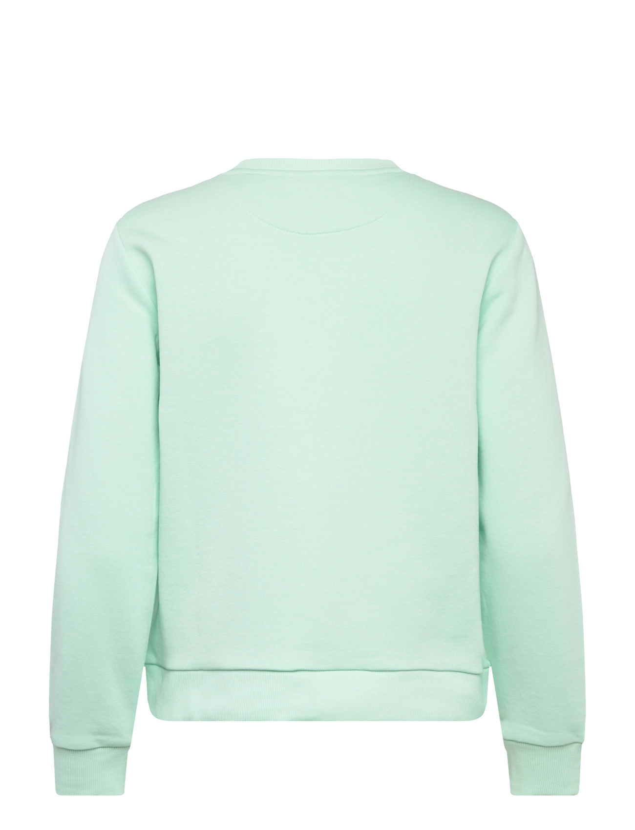 Gant - REG TONAL SHIELD C-NECK SWEAT - dressipluusid - faded mint - 1