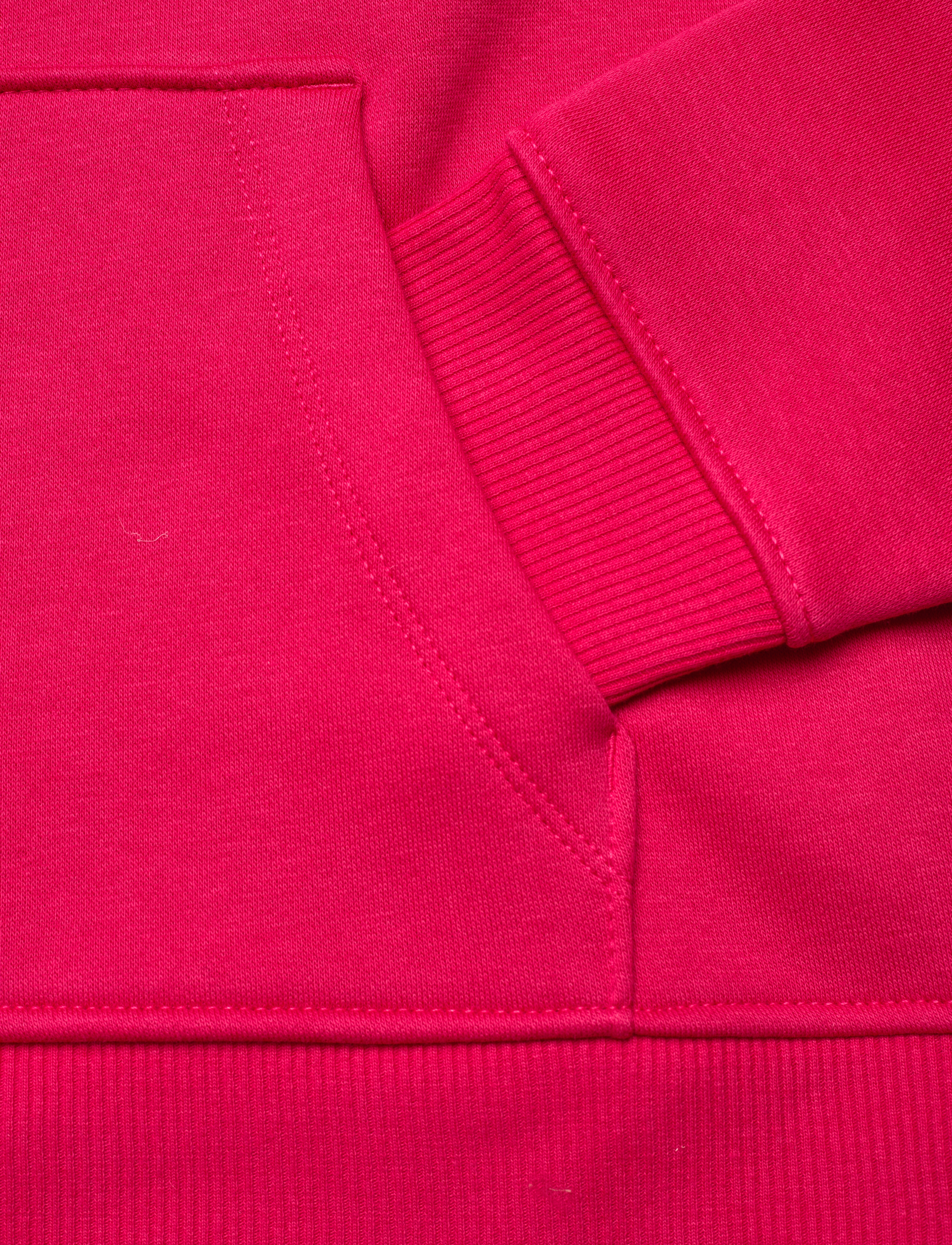 GANT - D1. BANNER SHIELD HOODIE - raspberry red - 3