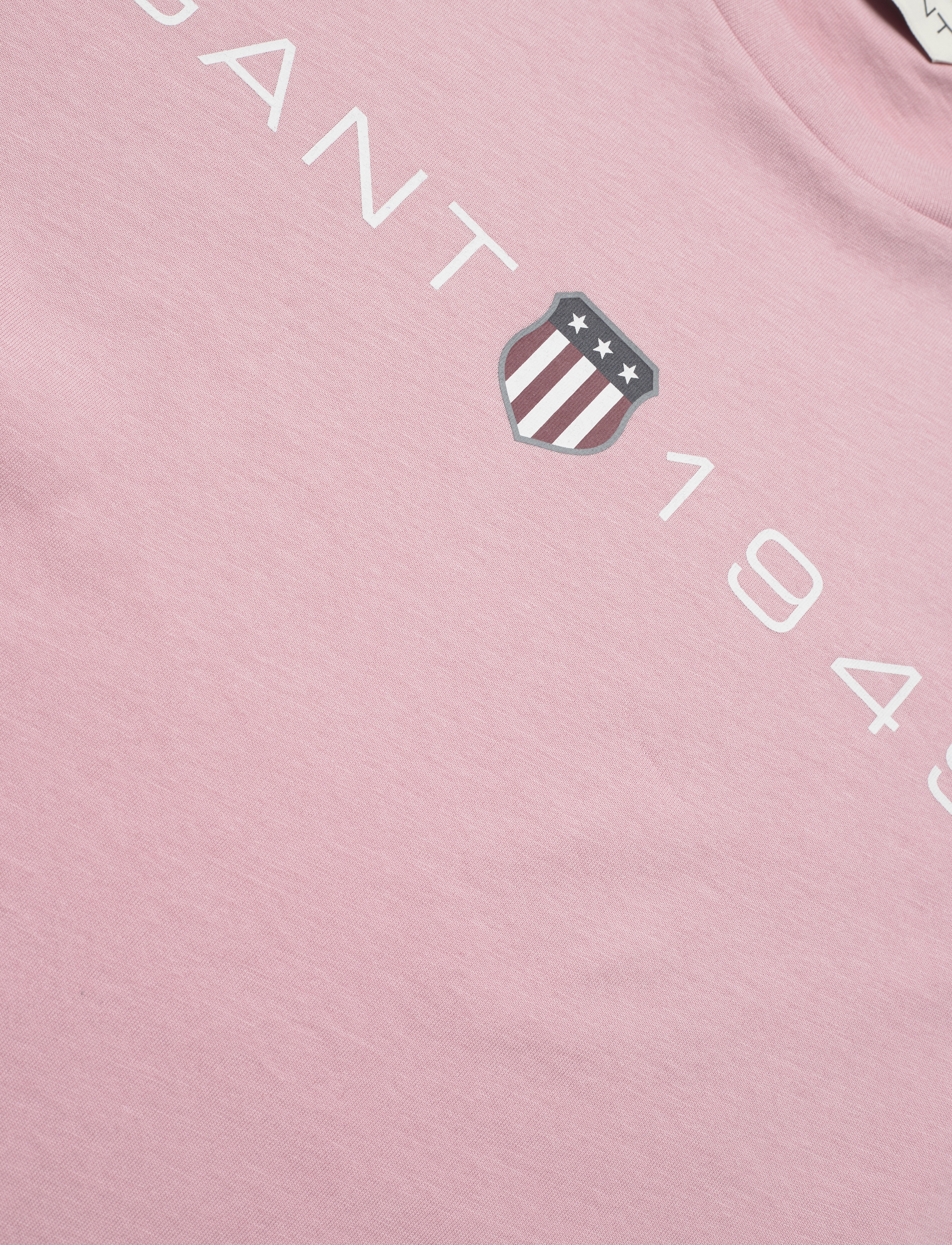 GANT - REG PRINTED GRAPHIC T-SHIRT - dusty pink - 2