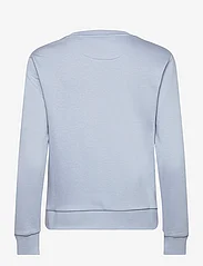 GANT - REG PRINTED GRAPHIC C-NECK - sweatshirts & huvtröjor - dove blue - 1