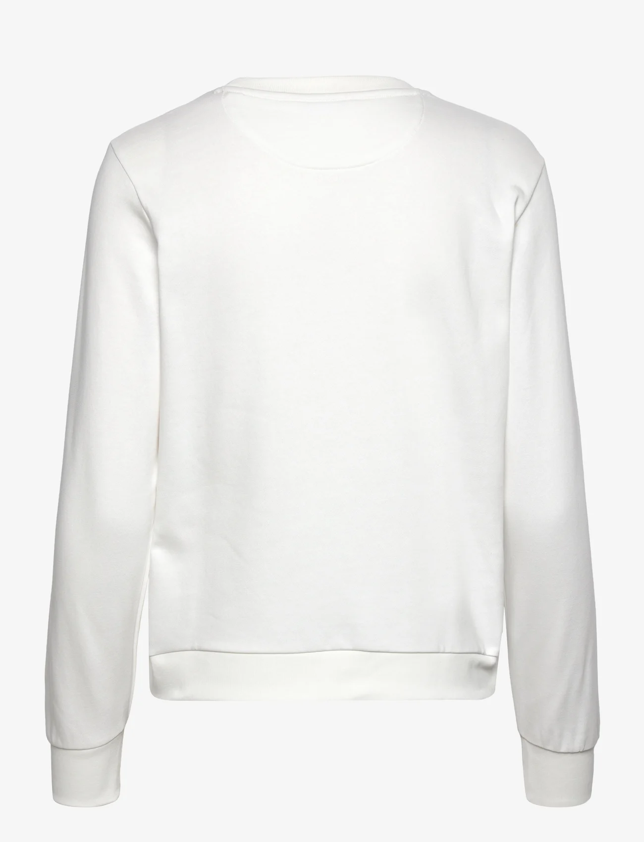 GANT - REG PRINTED GRAPHIC C-NECK - sportiska stila džemperi un džemperi ar kapuci - eggshell - 1