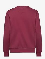 GANT - REG PRINTED GRAPHIC C-NECK - sweatshirts - plumped red - 1