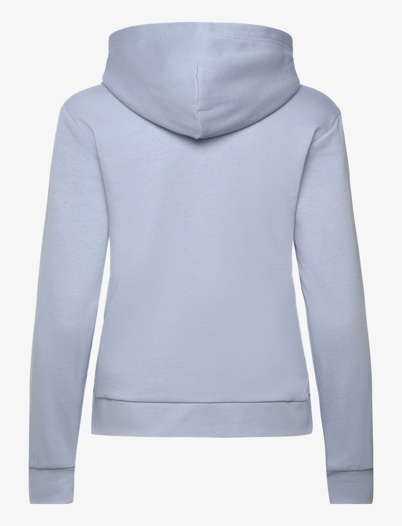 GANT - REG PRINTED GRAPHIC ZIP HOOD - džemperi ar kapuci - dove blue - 1