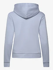 GANT - REG PRINTED GRAPHIC ZIP HOOD - džemperi ar kapuci - dove blue - 1