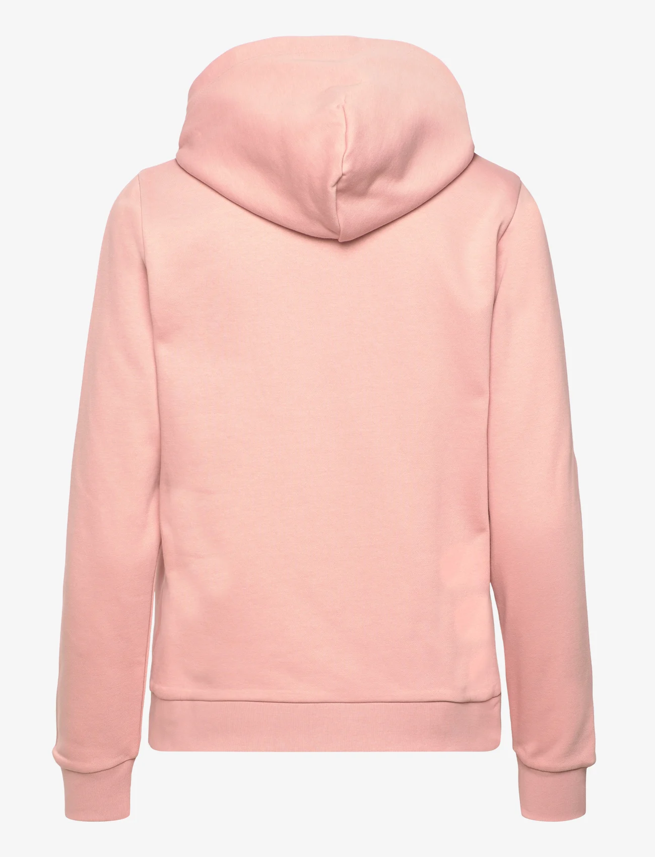 GANT - REG PRINTED GRAPHIC HOODIE - džemperiai su gobtuvu - dusty rose - 1