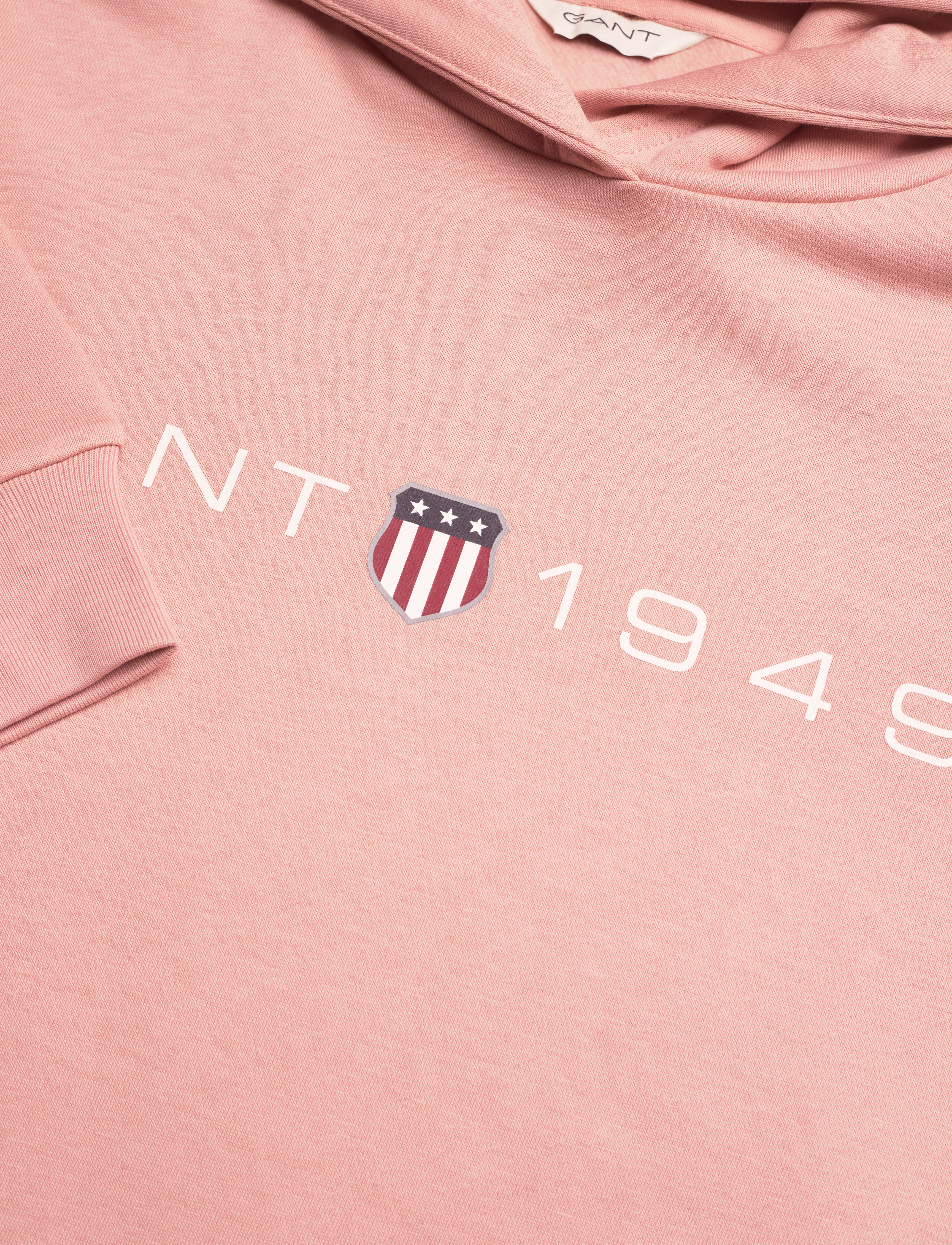 GANT - REG PRINTED GRAPHIC HOODIE - dusty rose - 2
