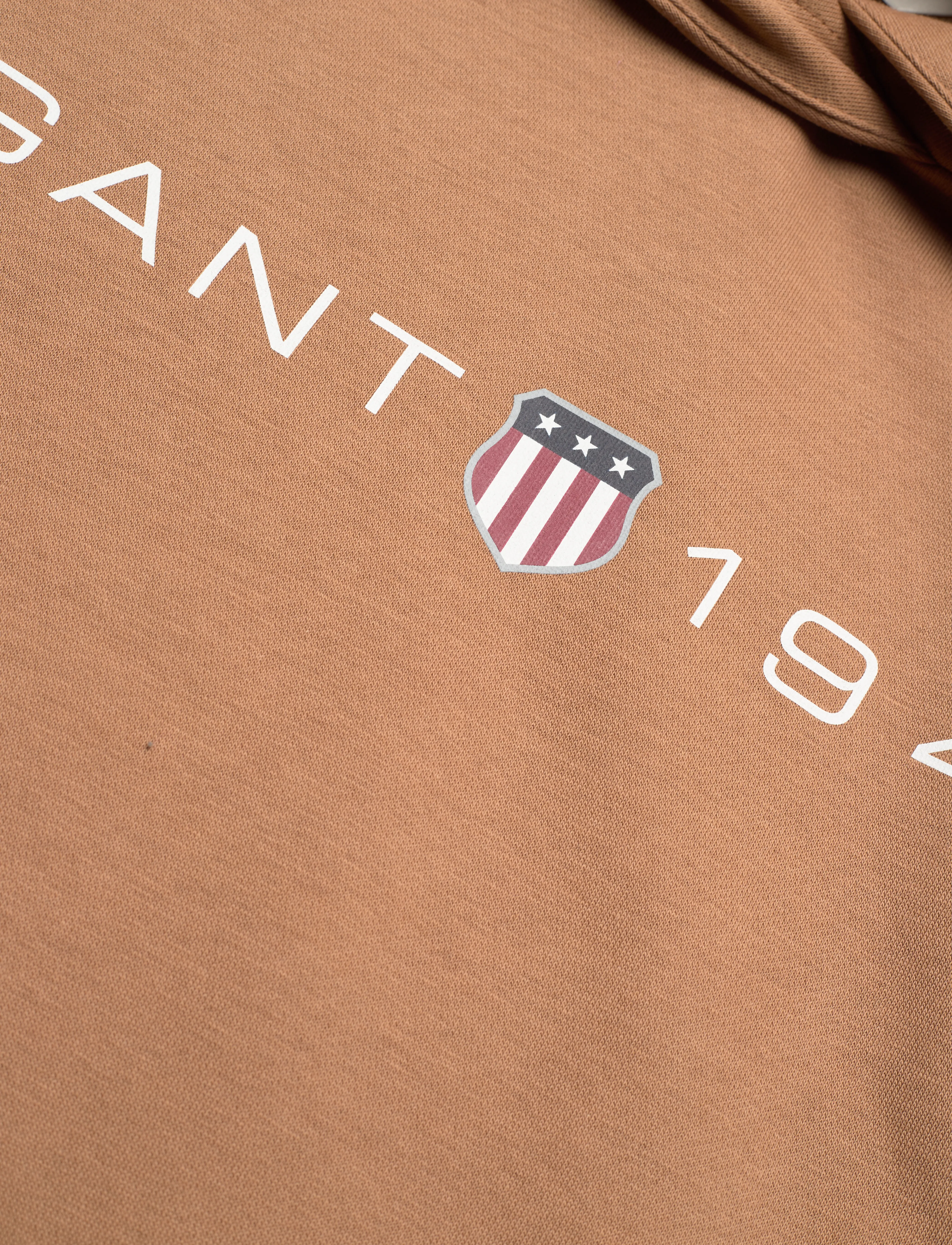 GANT - REG PRINTED GRAPHIC HOODIE - roasted walnut - 2