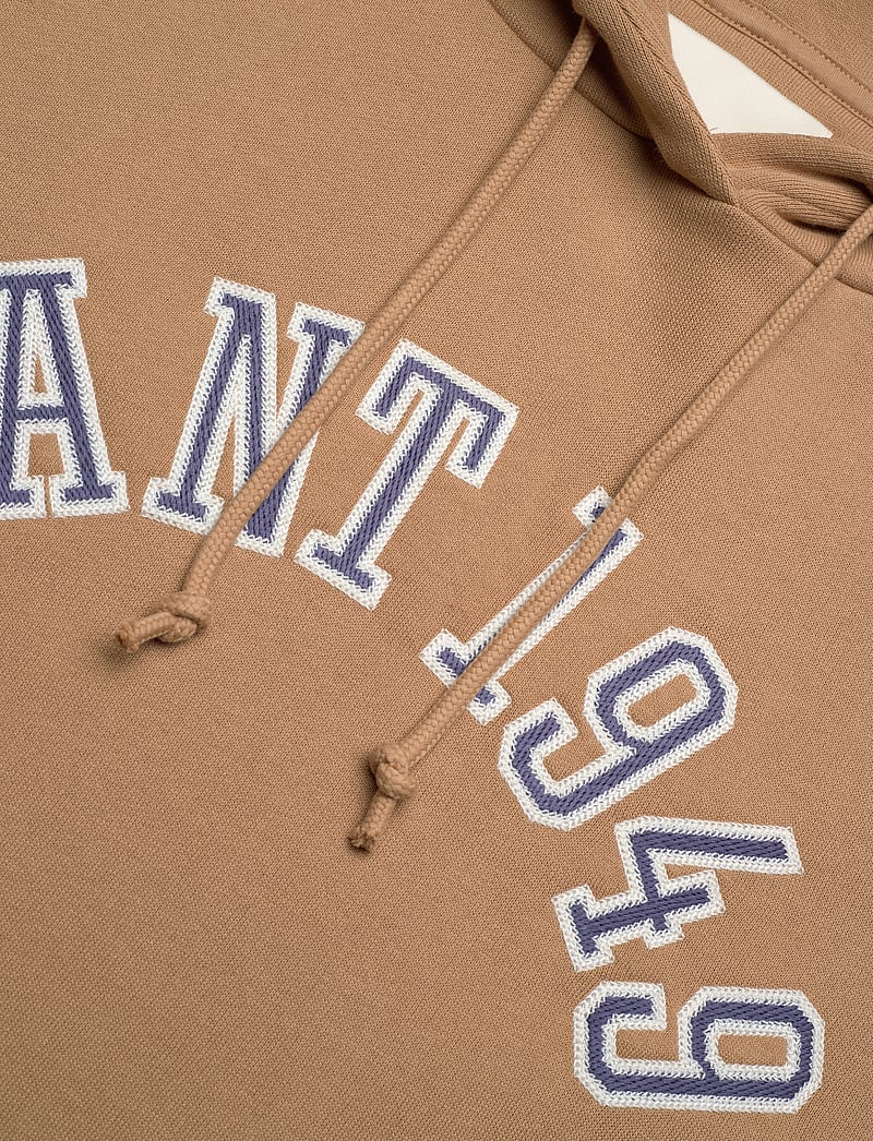 GANT - GANT 1949 ARCH HOODIE - kapuzenpullover - caramel beige - 2