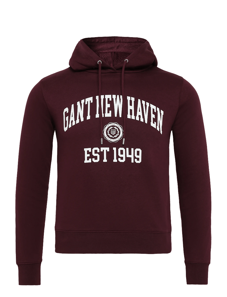 Gant - REG GRAPHIC SWEAT HOODIE - kapuutsiga pusad - darkened wine - 1