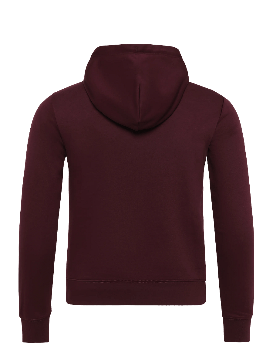 Gant - REG GRAPHIC SWEAT HOODIE - kapuutsiga pusad - darkened wine - 2