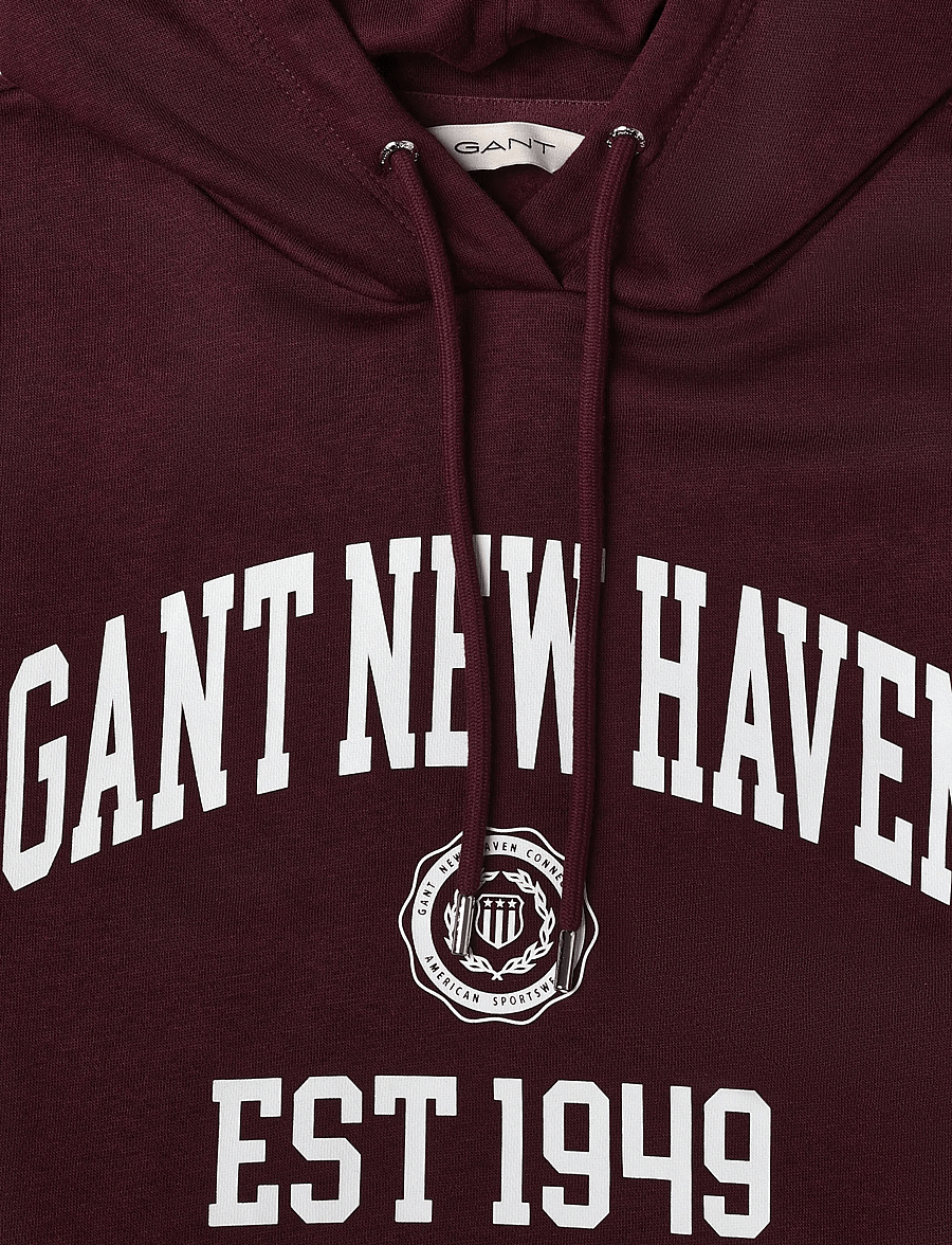Gant - REG GRAPHIC SWEAT HOODIE - kapuutsiga pusad - darkened wine - 5