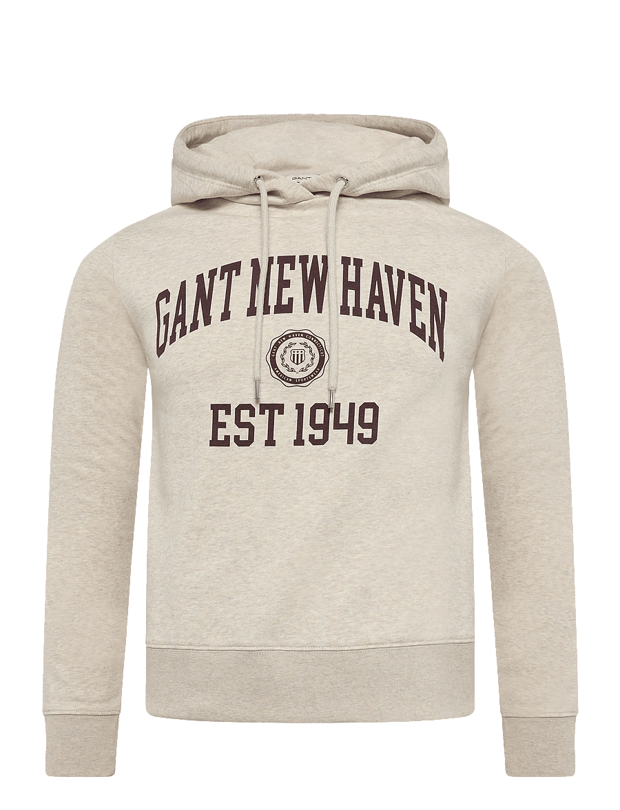 Gant - REG GRAPHIC SWEAT HOODIE - kapuzenpullover - light beige melange - 1